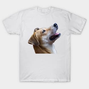 i love dog T-Shirt